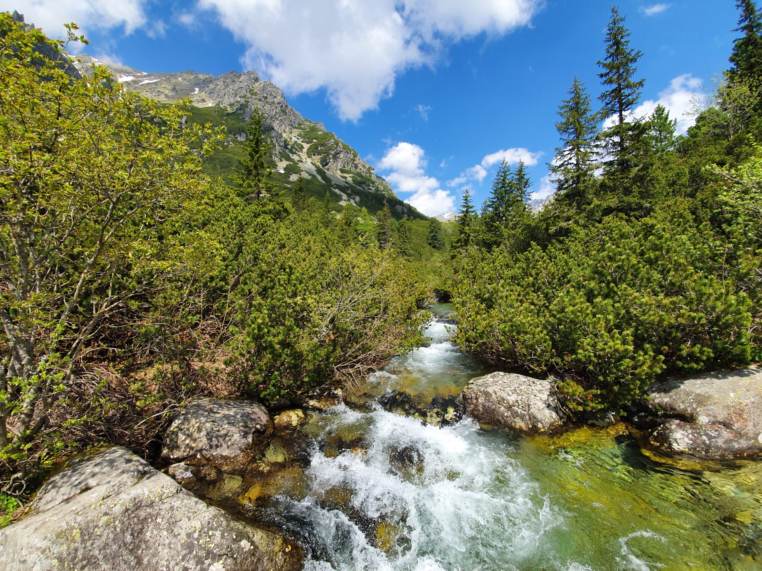 Štrbské Pleso – Panorama 31